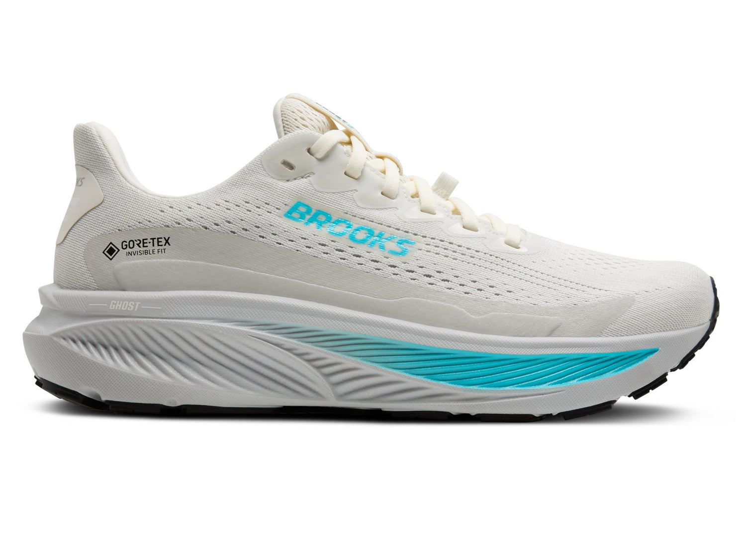 Brooks Women's Ghost GTX 17