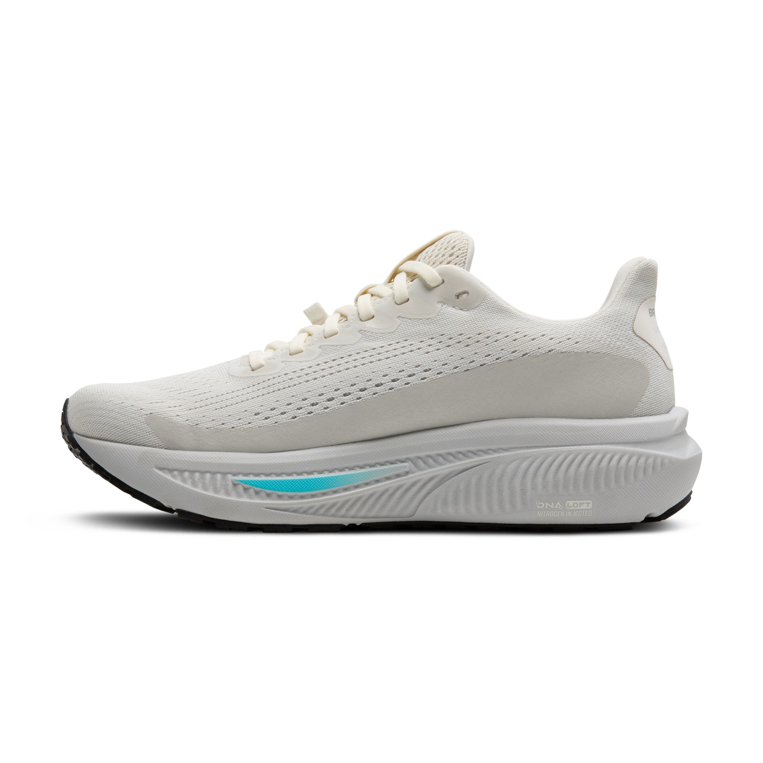 Brooks Women's Ghost GTX 17