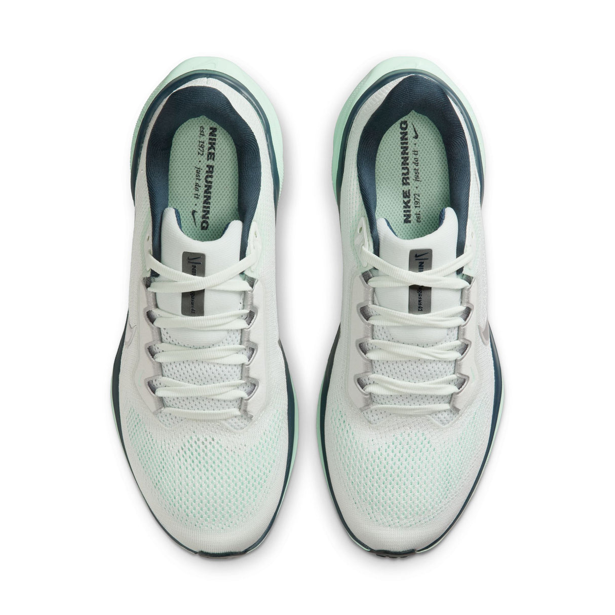 Nike Women's Air Zoom Pegasus 41