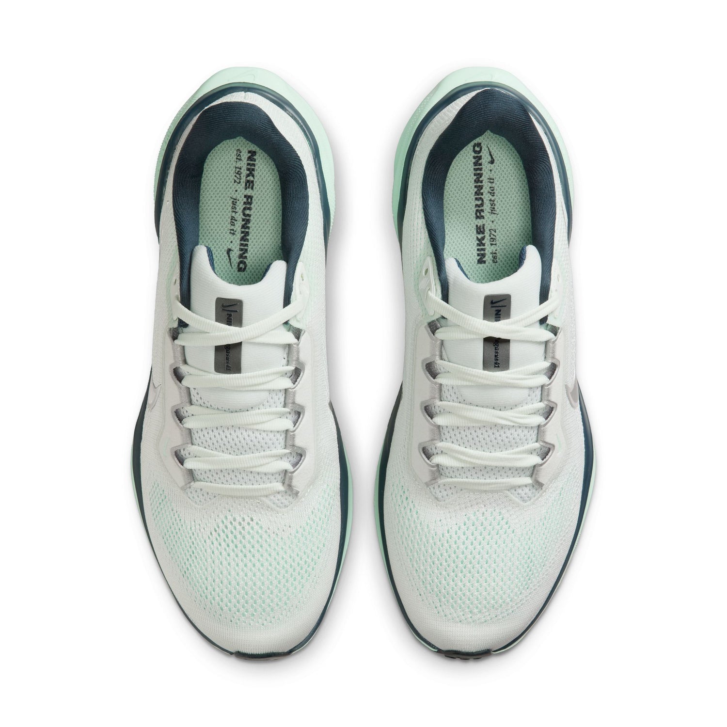Nike Women's Air Zoom Pegasus 41