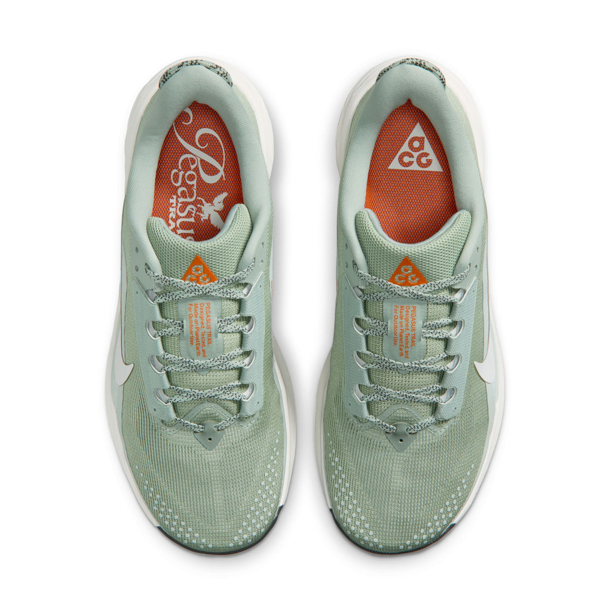 Nike Men's ACG Pegasus Trail