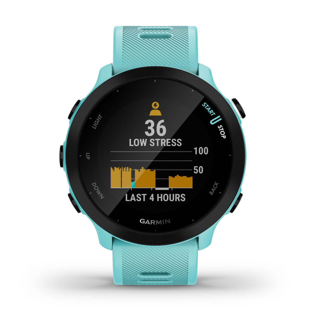 Garmin Forerunner 55