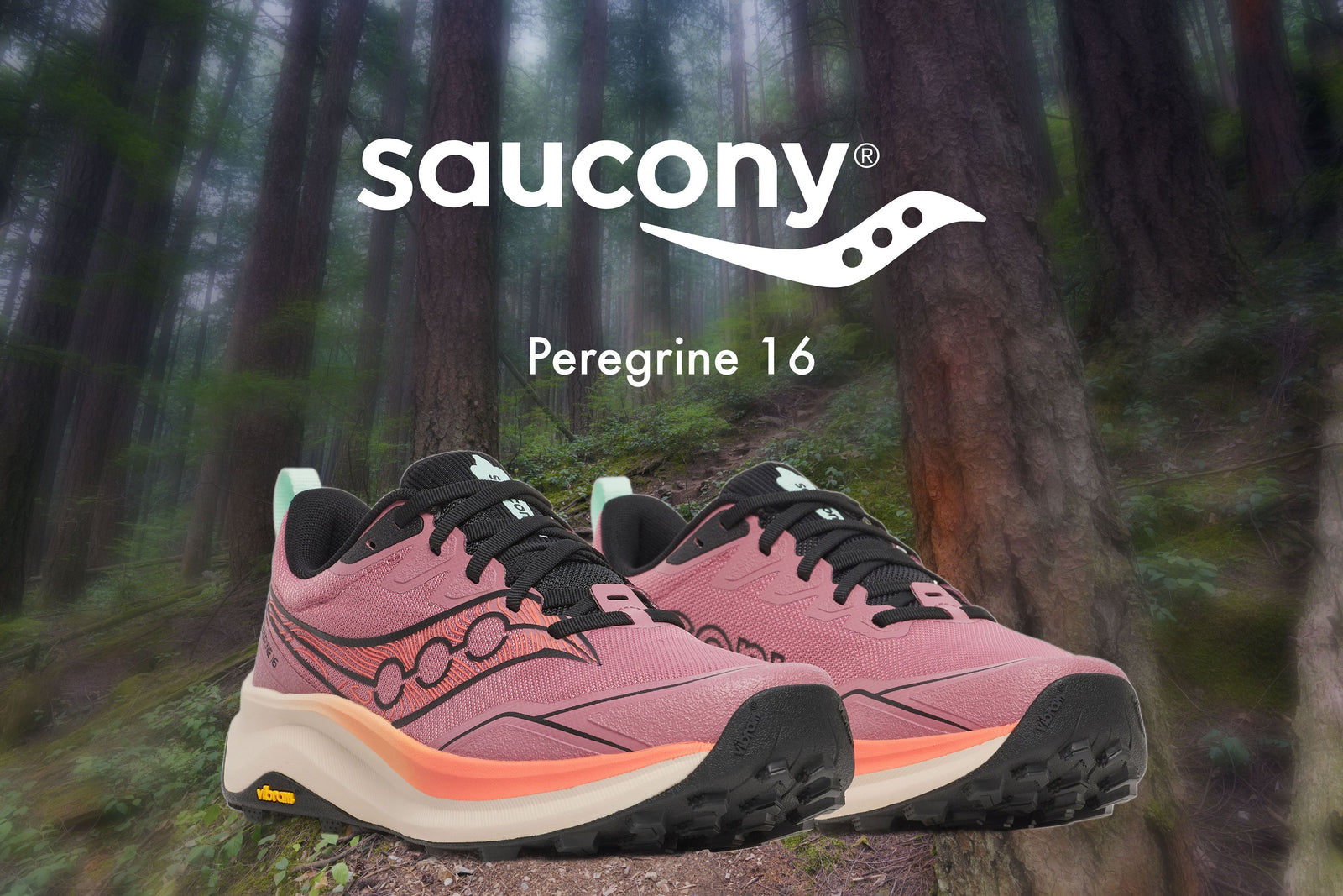 PRC Shoe Reviews: Saucony Peregrine 16