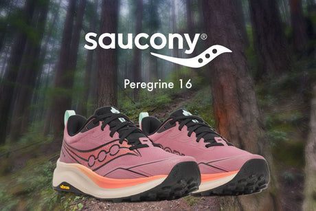 PRC Shoe Reviews: Saucony Peregrine 16