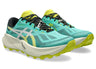 ASICS Men's Trabuco 14 trail running shoe