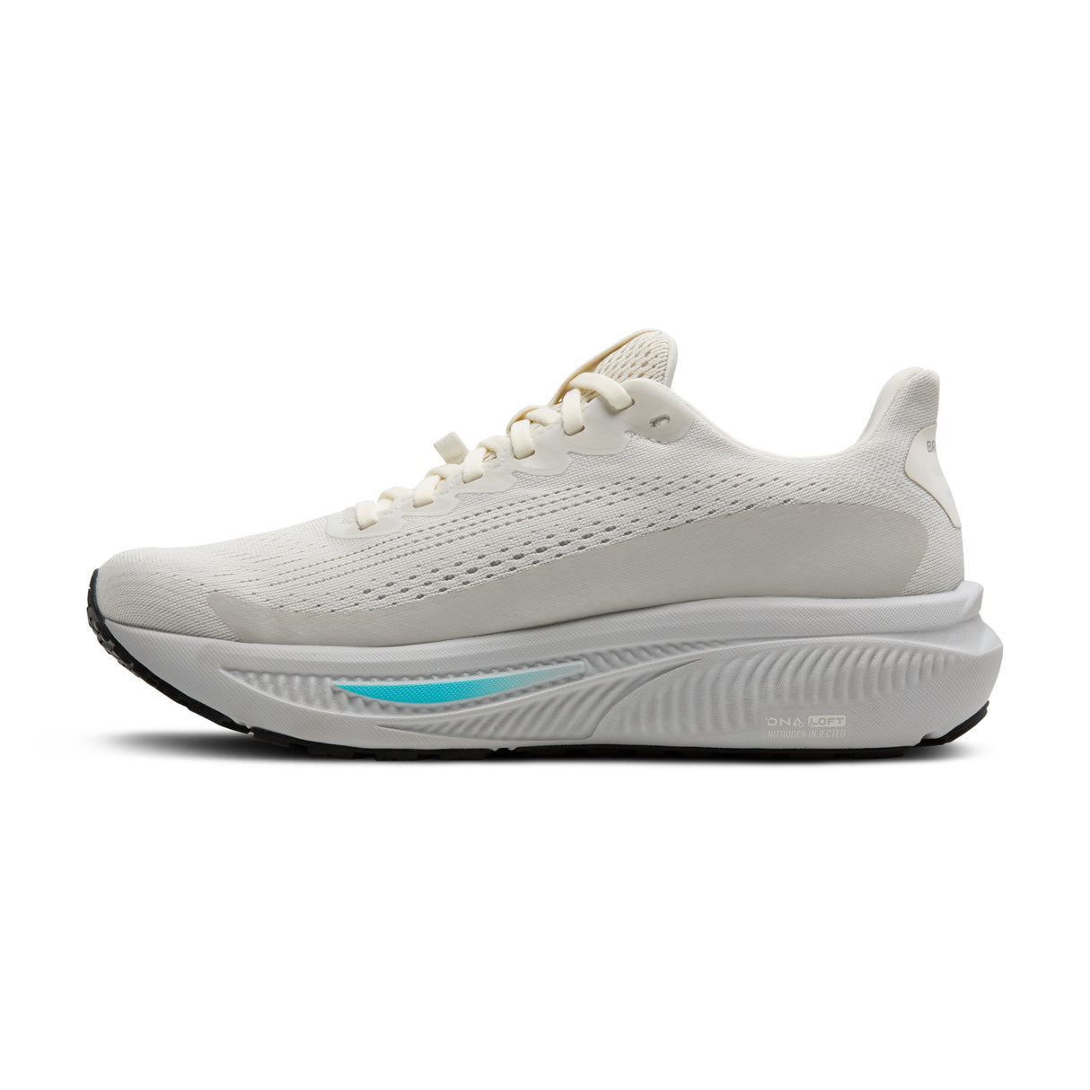 Brooks Women's Ghost 17 GTX