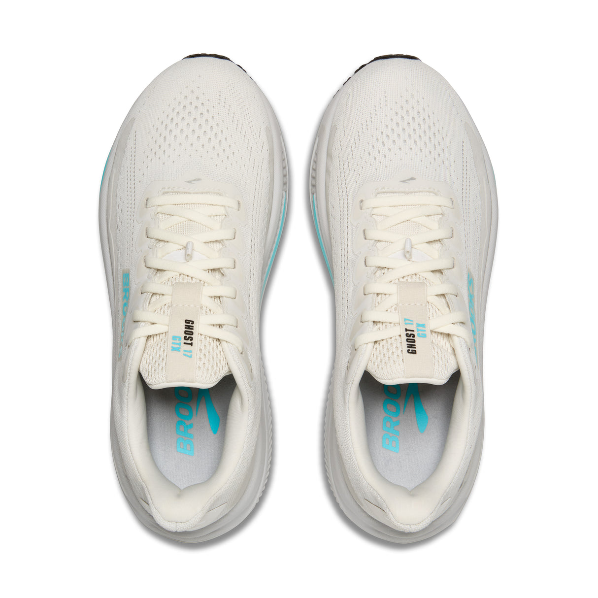 Brooks Women's Ghost 17 GTX