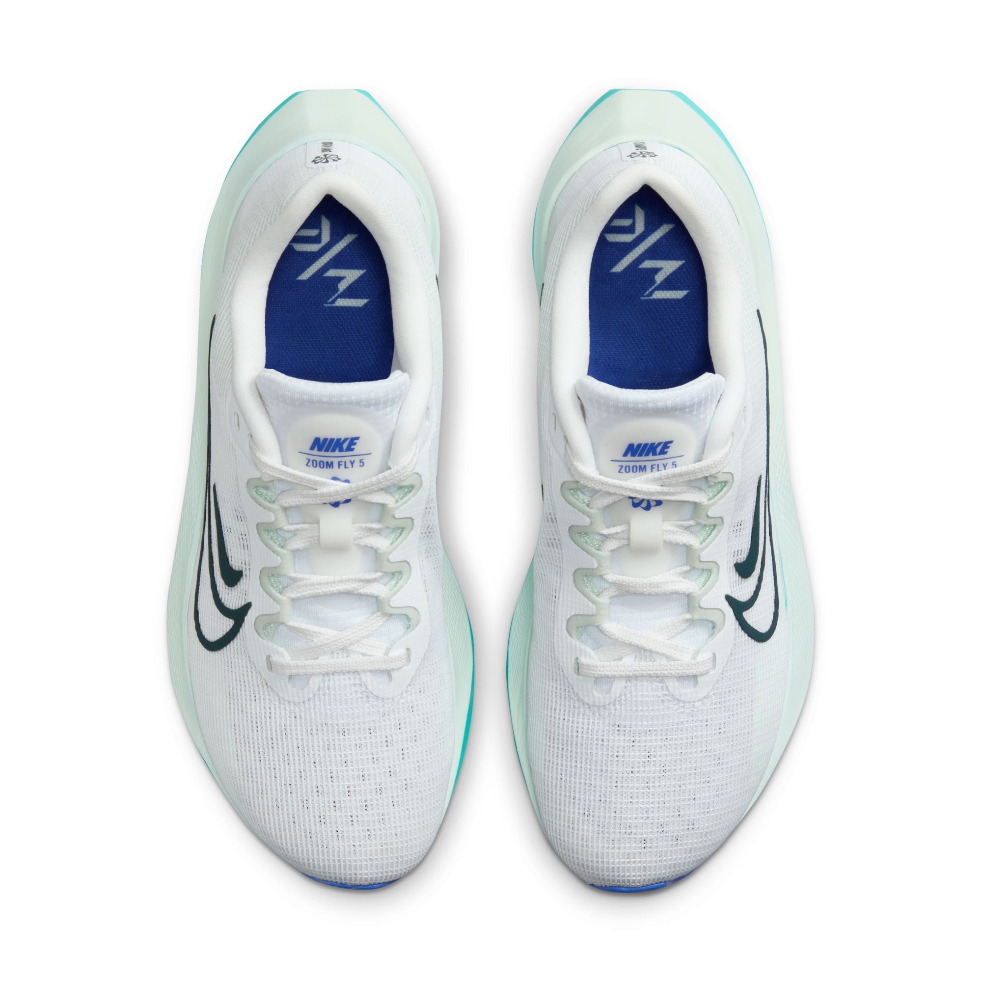 Pegasus turbo 2024 or zoom fly