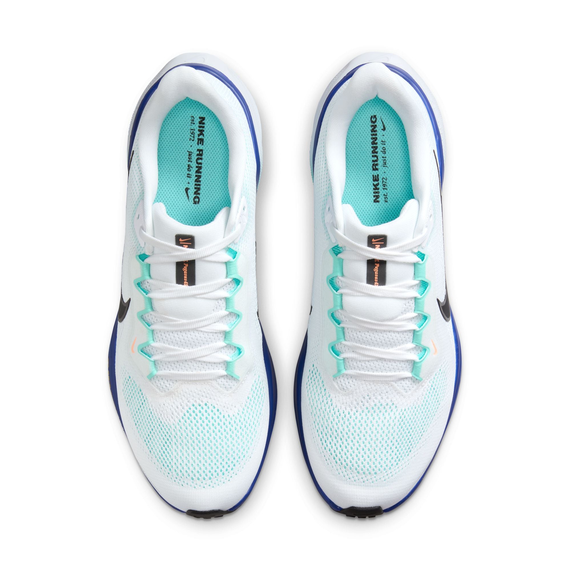 Nike Men's Air Zoom Pegasus 41 – Portland Running Company