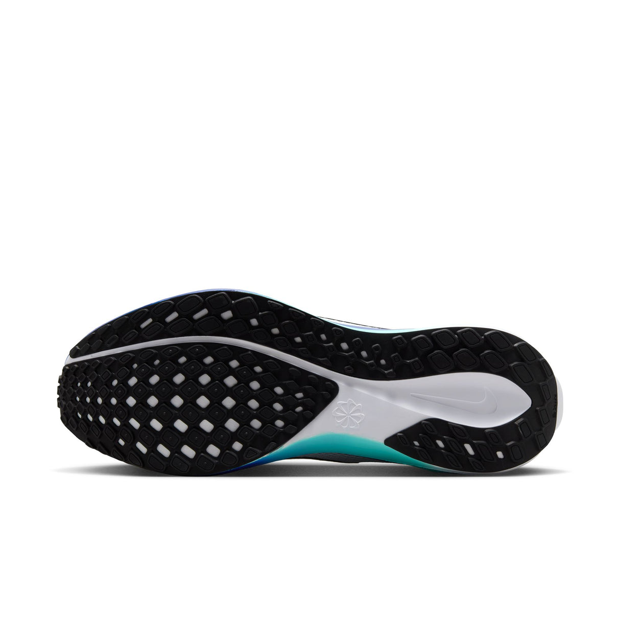 Nike Men's Air Zoom Pegasus 41
