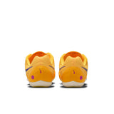 Nike Zoom Rival Multi Track Spike