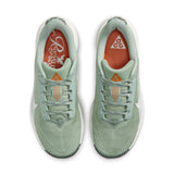 Nike Men's ACG Pegasus Trail