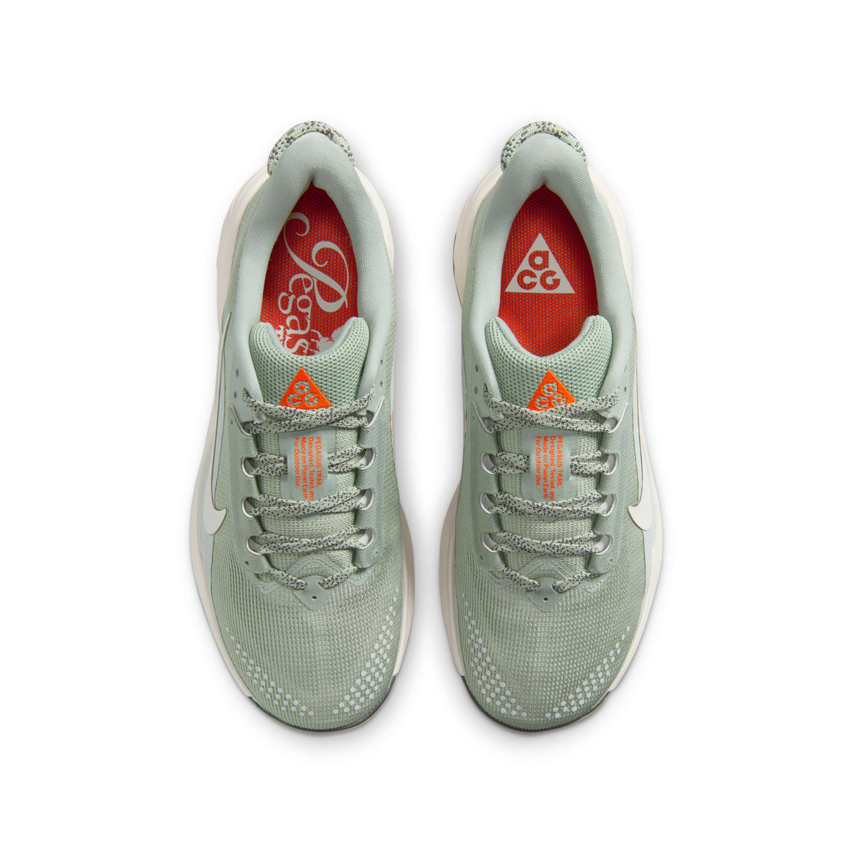 Nike Women's ACG Pegasus Trail
