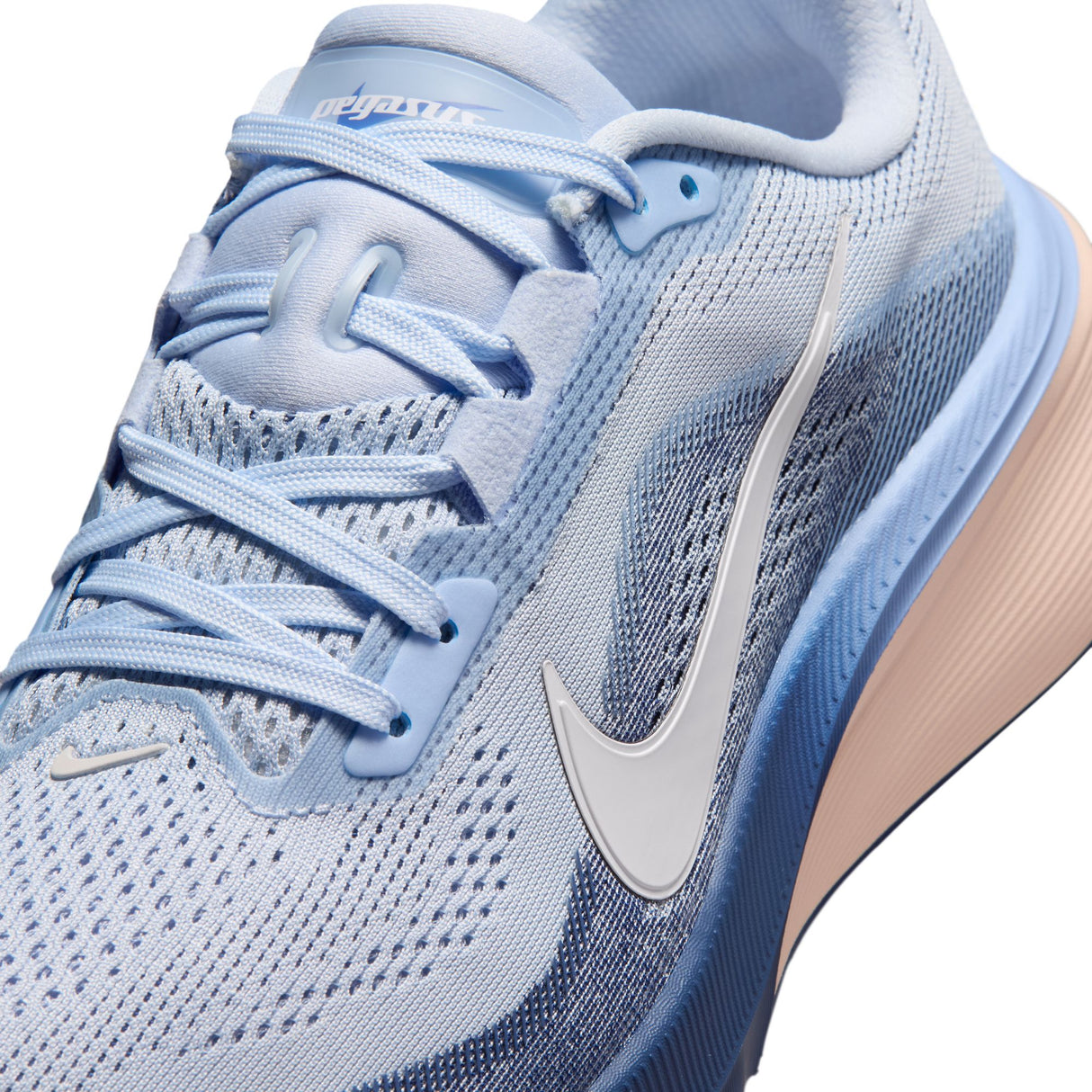 Nike Women's Pegasus 42
