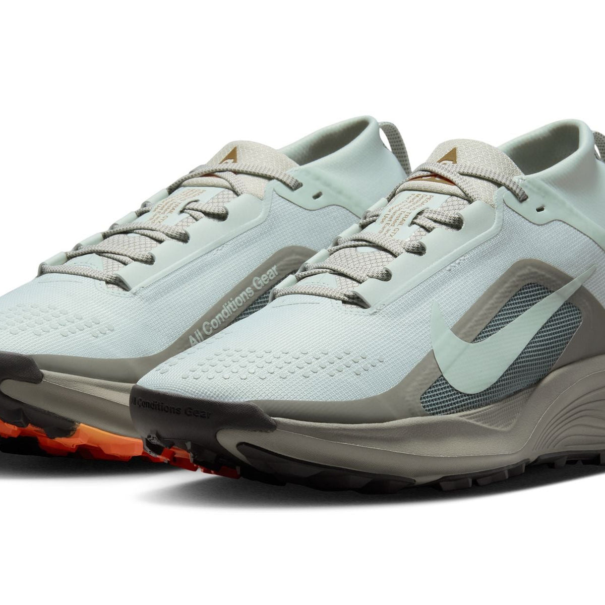 Nike Men's ACG Pegasus Trail GORE-TEX