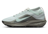 Nike Men's ACG Pegasus Trail GORE-TEX