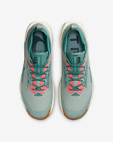 Nike Men's Pegasus Trail 5 Gore-Tex