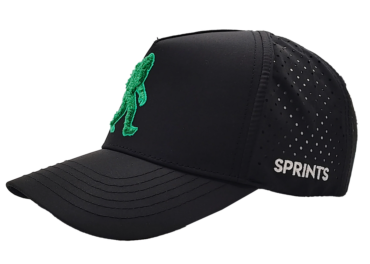 Sprints Structured VP Hat