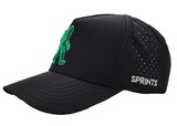 Sprints Structured VP Hat