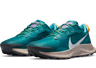 Nike Men's Pegasus Trail 3 Trail Running Shoe
