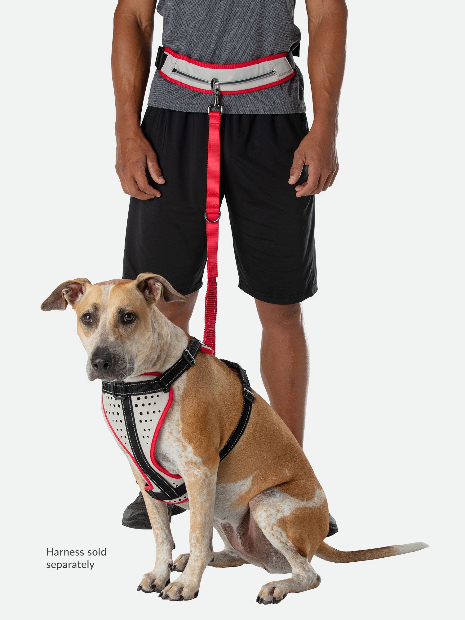 Nathan Dog Leash with Runner’s WaistPack. Hands Free Waistbelt Harness for K9. Jogging, Walking, Hiking, Running with Dog.